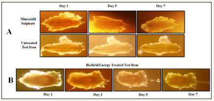 Click here to view Large image 3