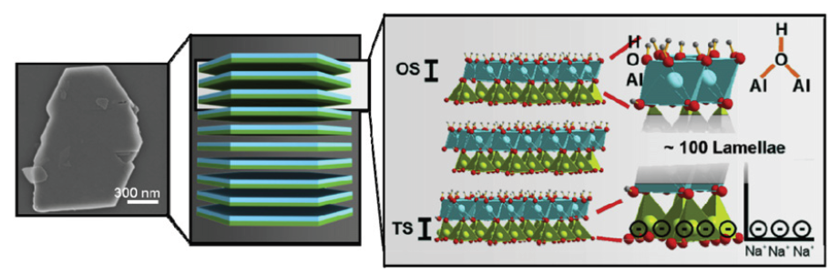 Click here to view Large image 12