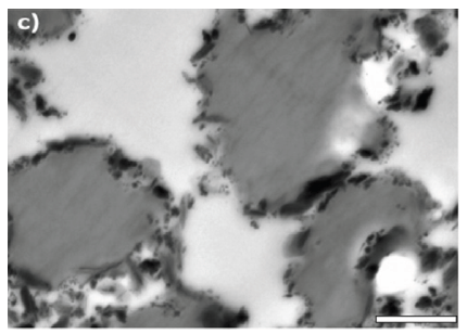 Click here to view Large image 13