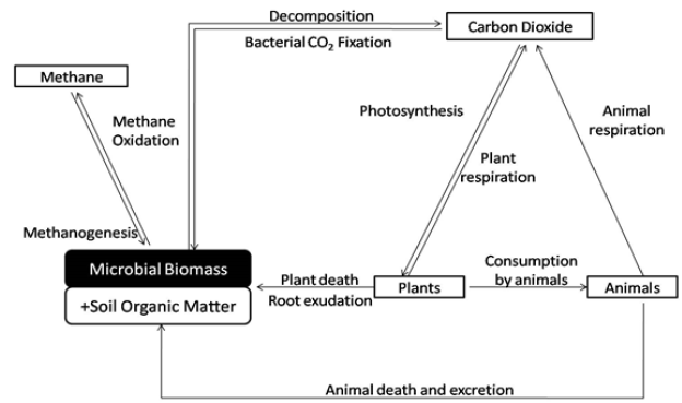 Click here to view Large image 1