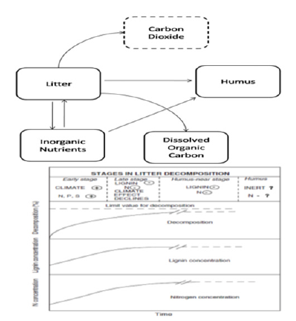 Click here to view Large image 2