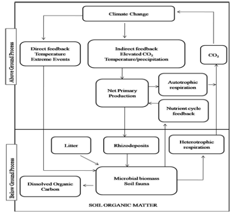 Click here to view Large image 3