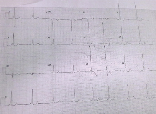 Click here to view Large Figure 1