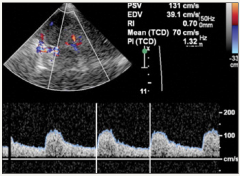 Click here to view Large images 4