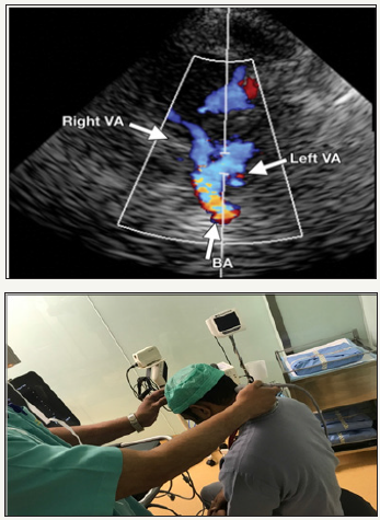 Click here to view Large images 6