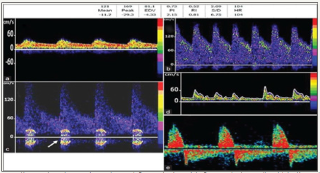 Click here to view Large images 8