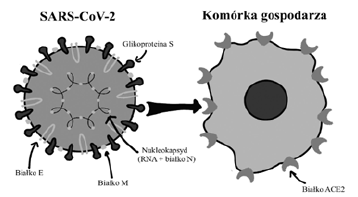 Click here to view Large image 2