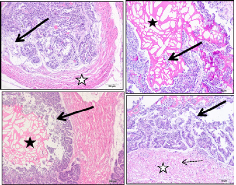 Click here to view Large image 2