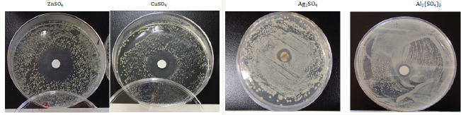 Click here to view Large Figure 1