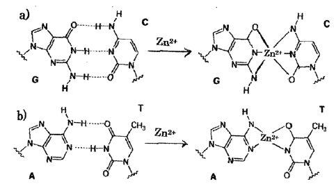 Click here to view Large Figure 1
