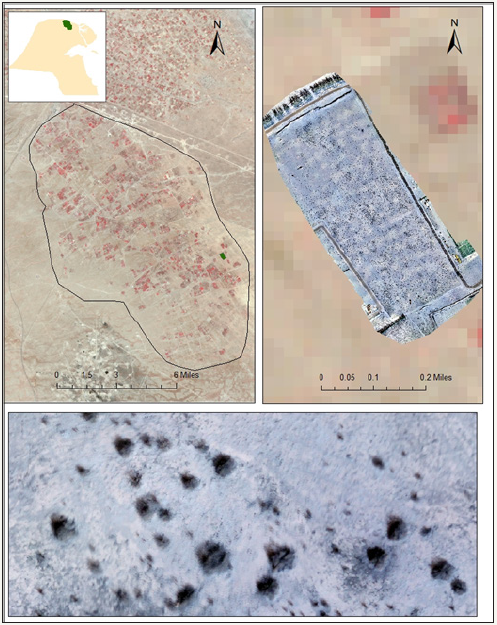 Click here to view Large image 1