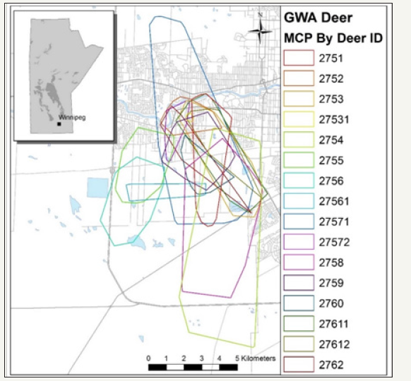 Click here to view Large image 3