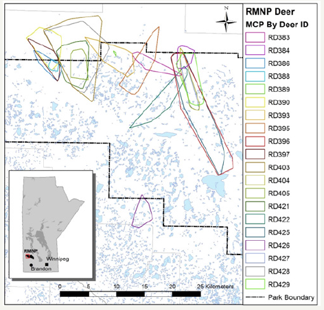 Click here to view Large image 4