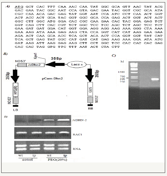 Click here to view Large image 1
