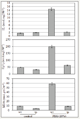 Click here to view Large image 3