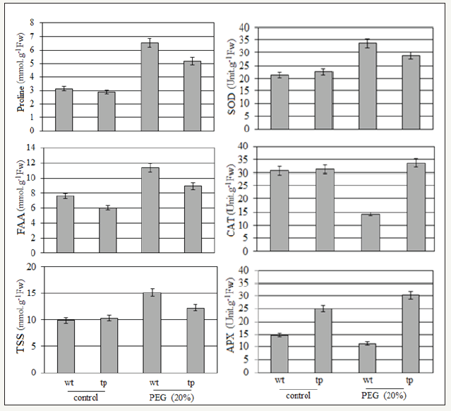 Click here to view Large image 5