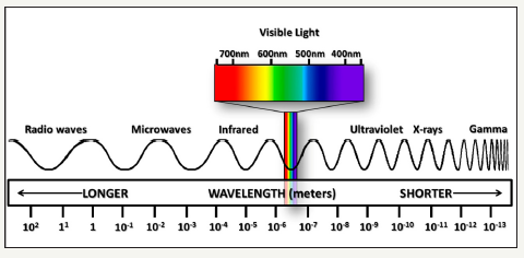 Click here to view Large image 6