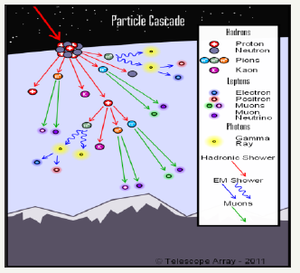 Click here to view Large image 8