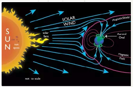 Click here to view Large image 10