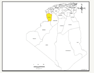 Click here to view Large image 1