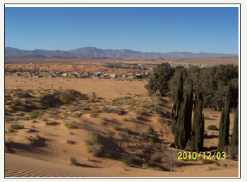 Click here to view Large image 9