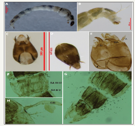 Click here to view Large image 1