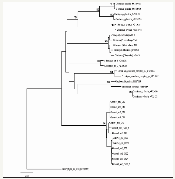 Click here to view Large image 3