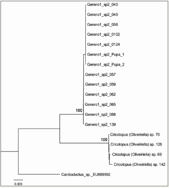 Click here to view Large image 4