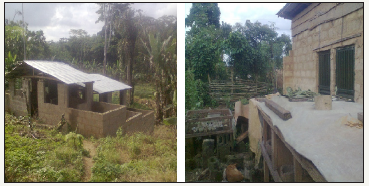 Click here to view Large image 10