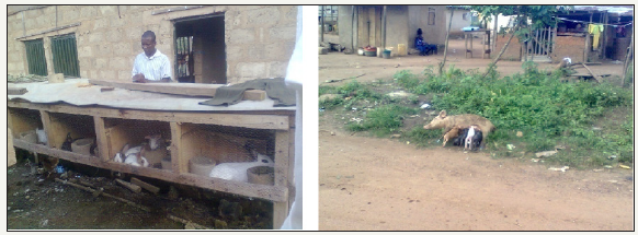 Click here to view Large image 12