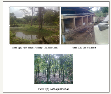 Click here to view Large image 7