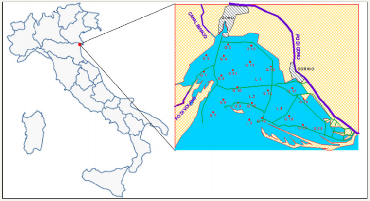 Click here to view Large Figure 1