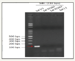 Click here to view Large image 2