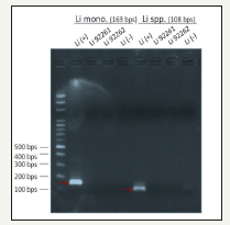 Click here to view Large image 3