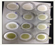 Click here to view Large image 8