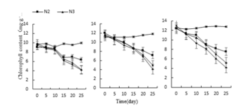 Click here to view Large image 10