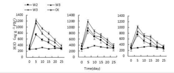 Click here to view Large image 12