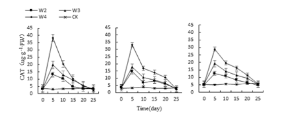 Click here to view Large image 18