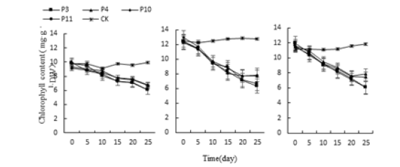 Click here to view Large image 8