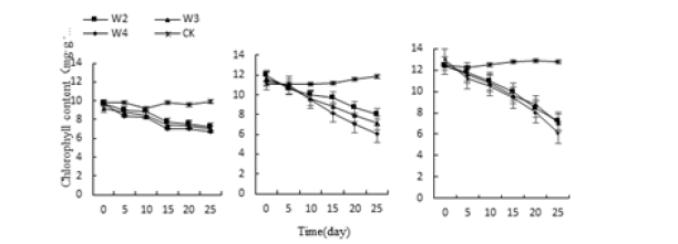 Click here to view Large image 9