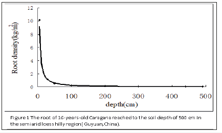 Click here to view Large image 1