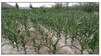 Click here to view Large image 2