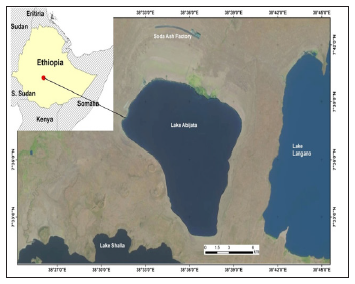 Click here to view Large Image 1