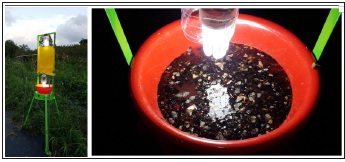 Click here to view Large image 1