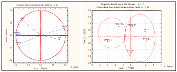Click here to view Large image 2