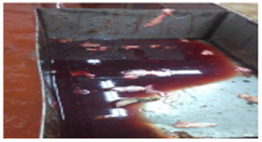 Click here to view Large image 2