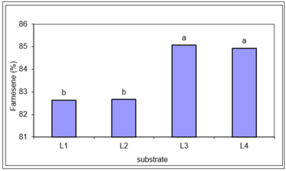 Click here to view Large image 1