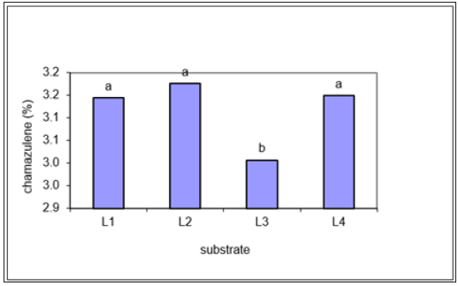 Click here to view Large image 2