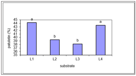 Click here to view Large image 6