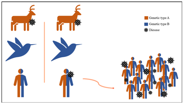 Click here to view Large image 1